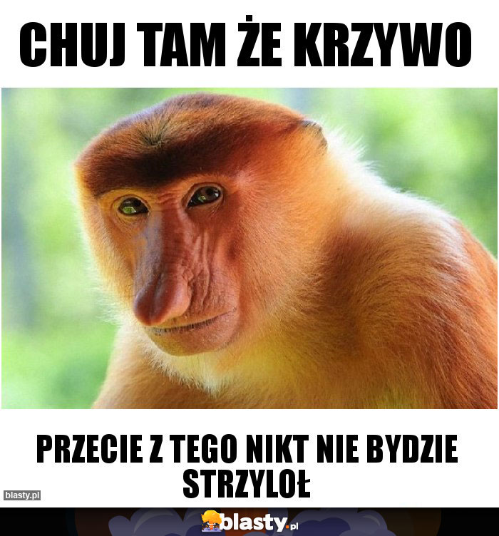 chuj tam że krzywo
