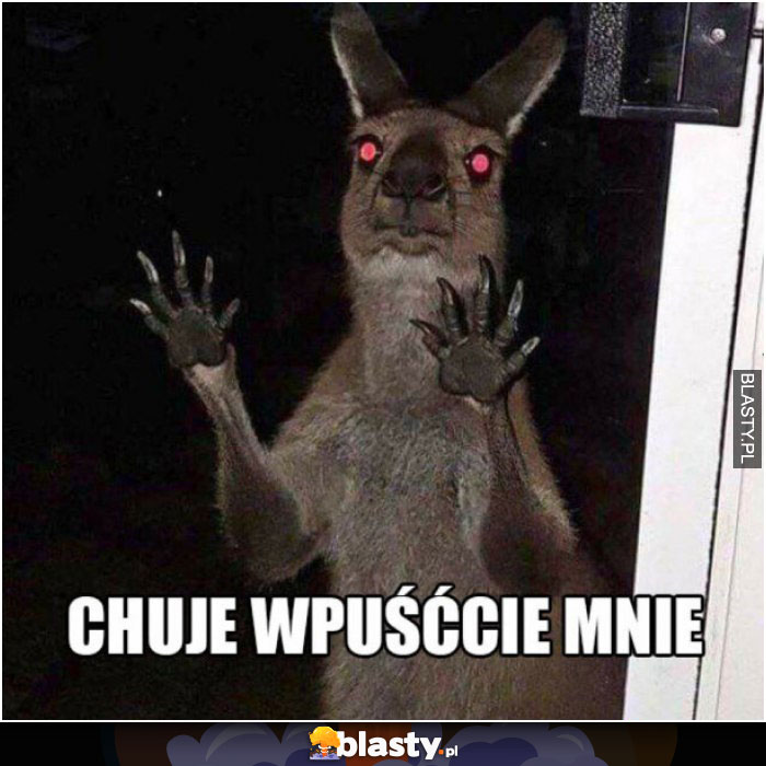 Chuje wpuście mnie