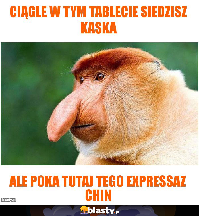 Ciągle w tym tablecie siedzisz kaska