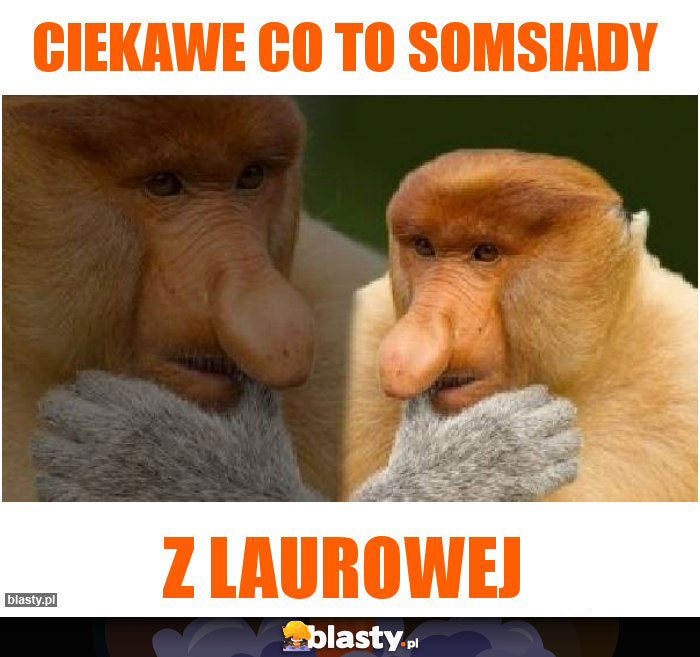 Ciekawe co to somsiady