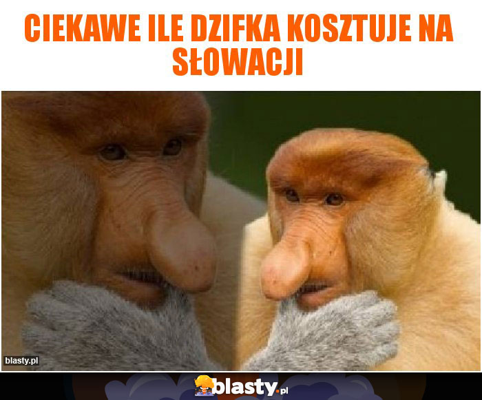 Ciekawe ile dzifkA kosztuje na Słowacji