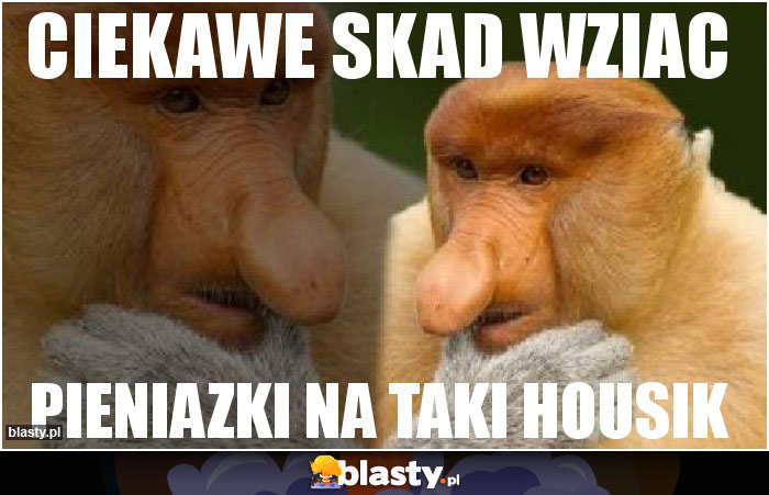 ciekawe skad wziac