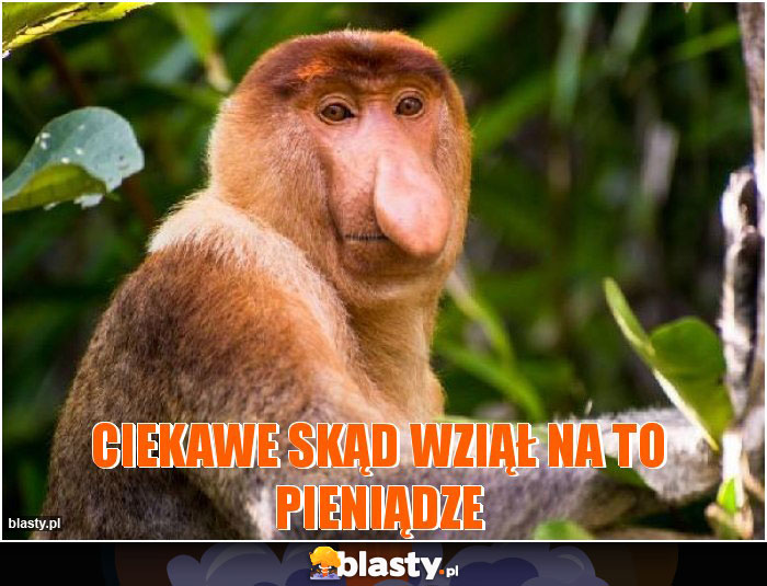 ciekawe skąd wziął na to pieniądze