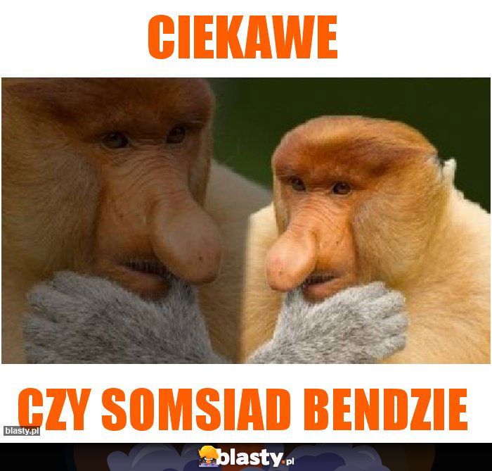 Ciekawe