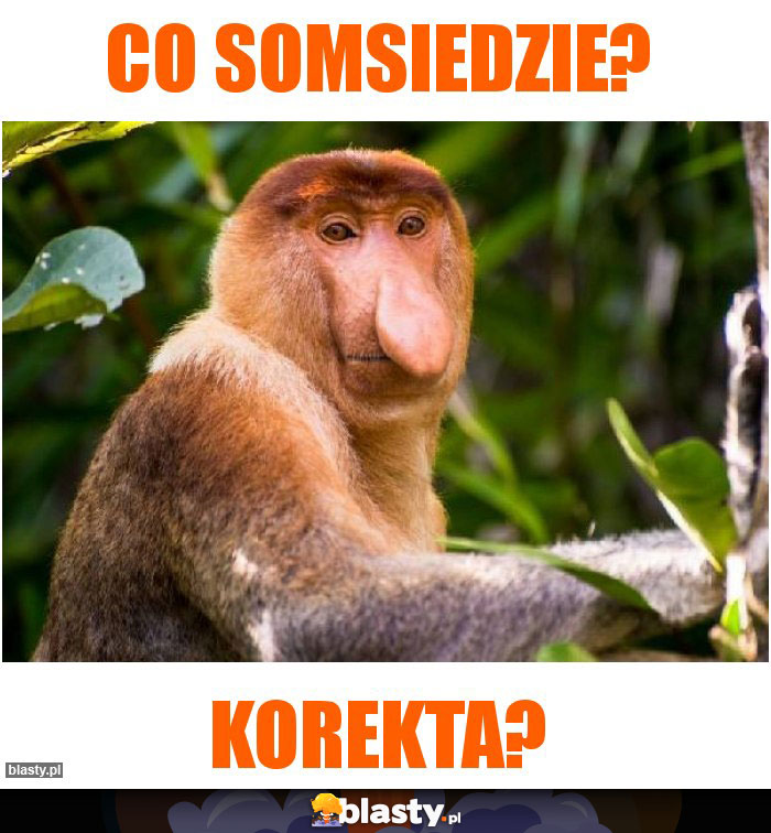 Co somsiedzie?