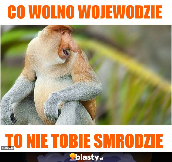 CO WOLNO WOJEWODZIE