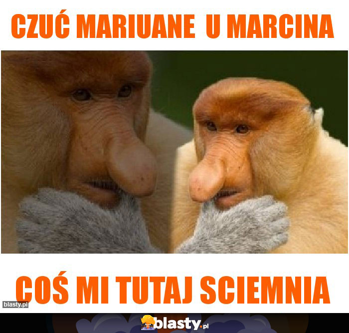 Czuć Mariuane  u Marcina