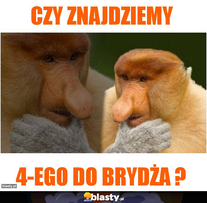 czy znajdziemy