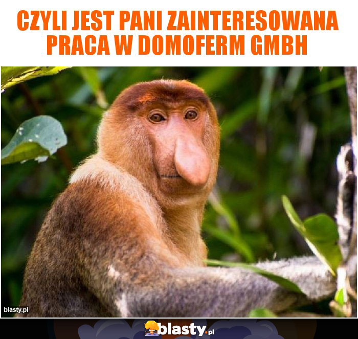 Czyli jest pani zainteresowana praca w domoferm gmbh