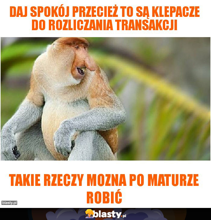 Daj spokój przecież to są klepacze do rozliczania transakcji