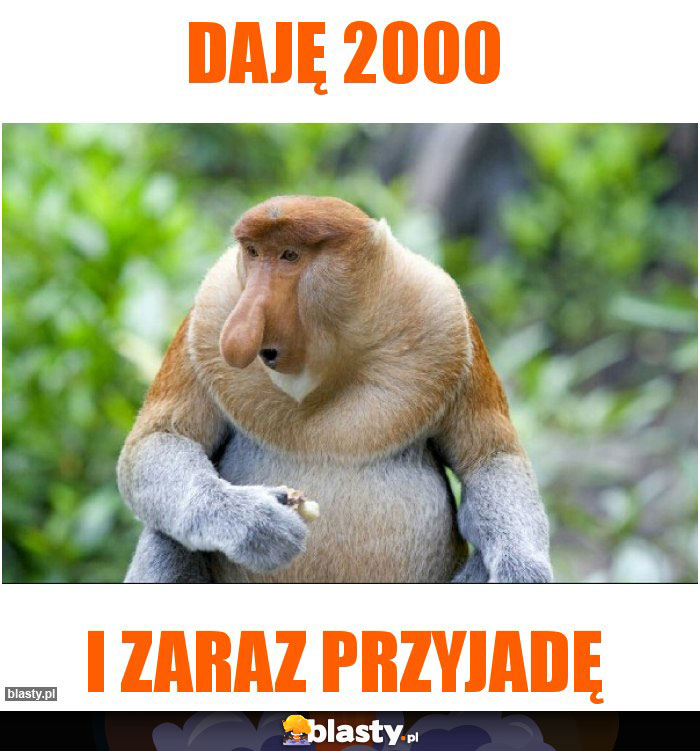 daję 2000