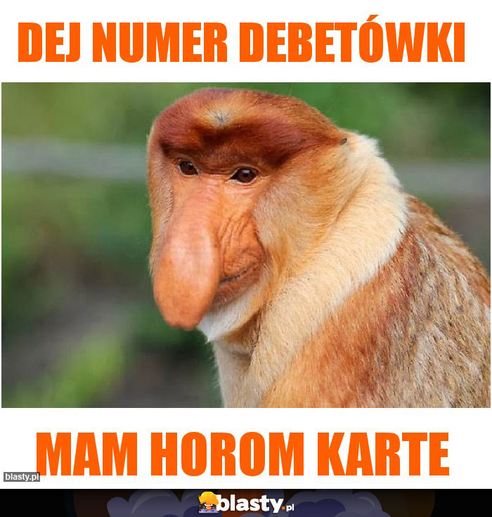 DEJ NUMER DEBETÓWKI