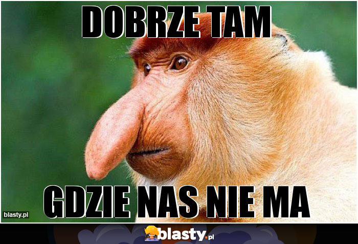 Dobrze tam Dobrze tam