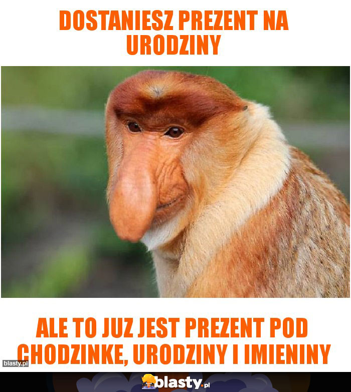 DOSTANIESZ PREZENT NA URODZINY