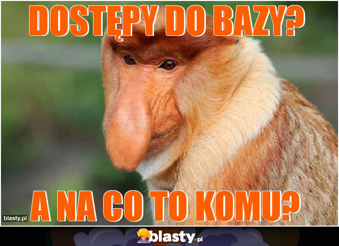 Dostępy do bazy? Dostępy do bazy?