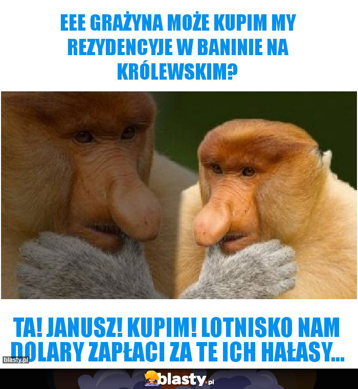 Eee Grażyna może kupim my rezydencyje w Baninie na Królewskim?