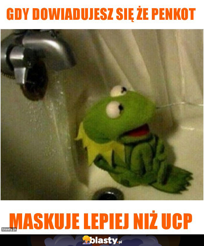 Gdy dowiadujesz się że penkot