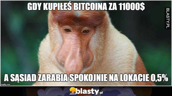 Gdy kupiłeś bitcoina za 1100 dolarów