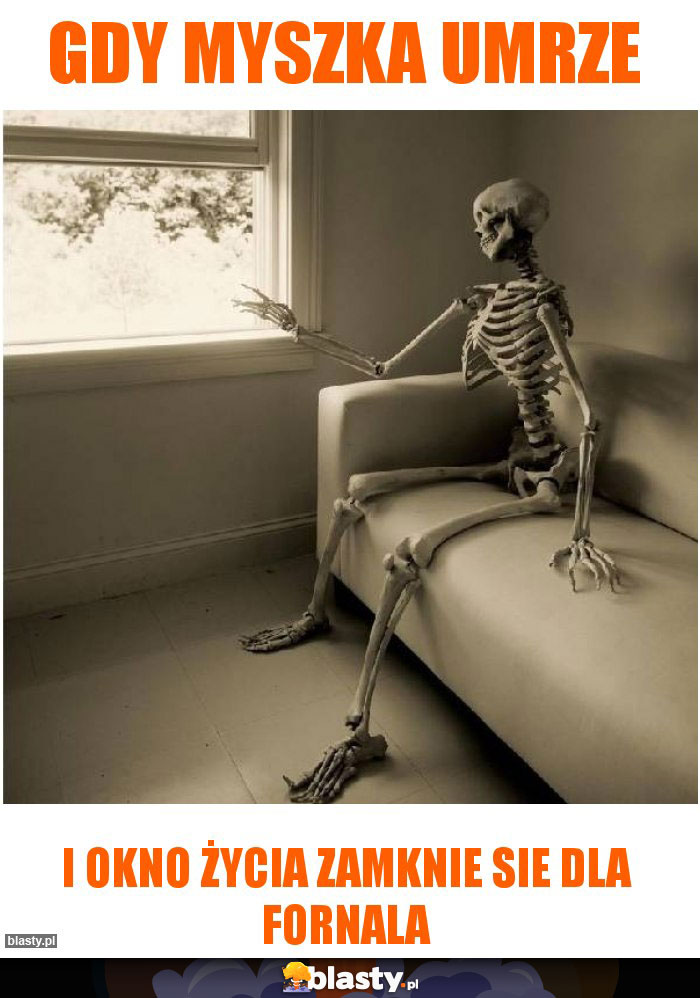 Gdy Myszka umrze