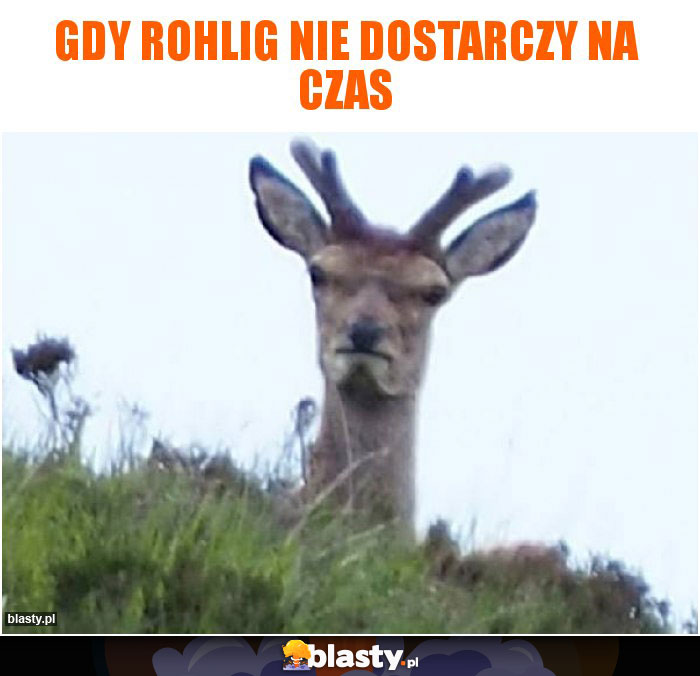 gdy rohlig nie dostarczy na czas