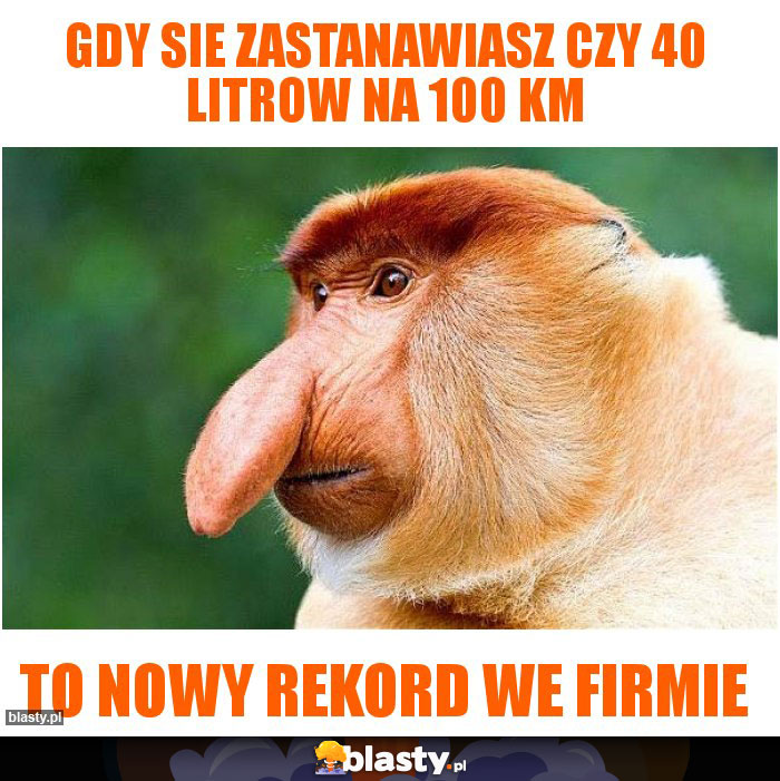 Gdy sie zastanawiasz czy 40 litrow na 100 km