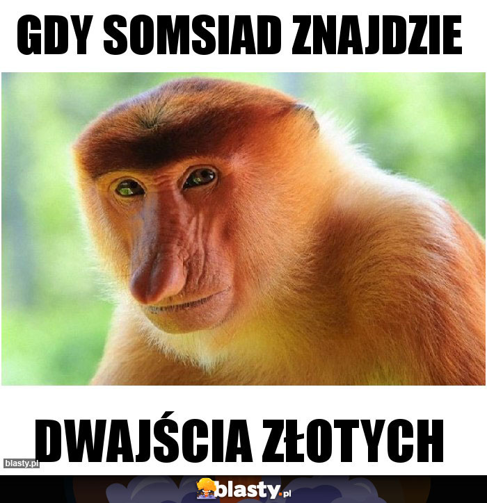 Gdy somsiad znajdzie