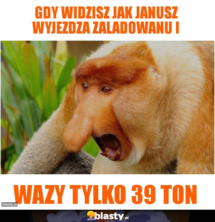 Gdy widzisz jak Janusz wyjezdza zaladowanu i