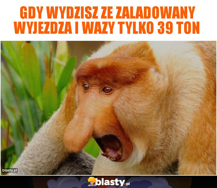 Gdy wydzisz ze zaladowany wyjezdza i wazy tylko 39 ton