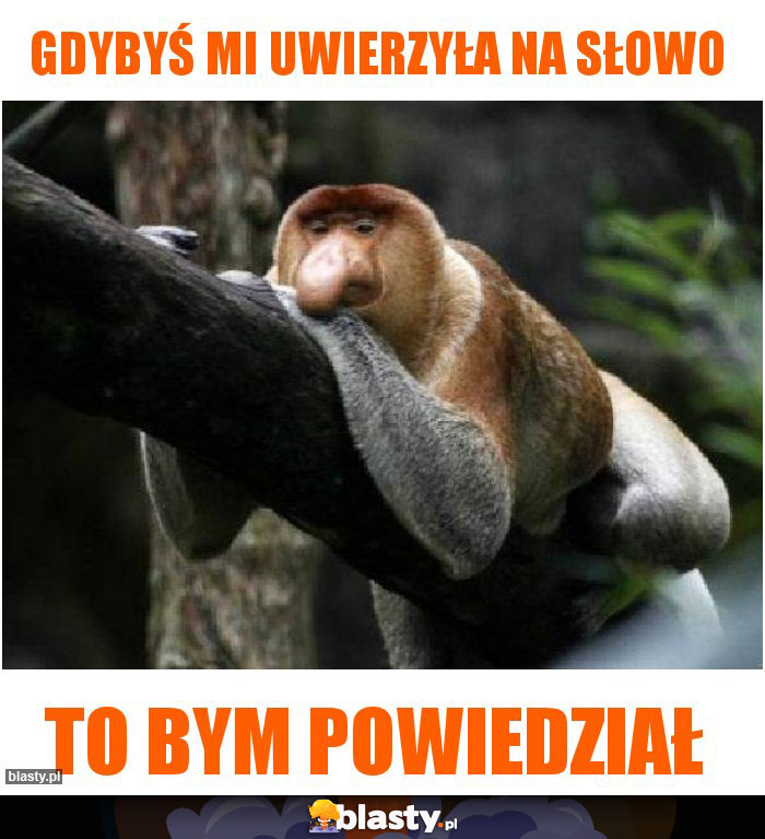 gDYBYŚ MI UWIERZYŁA NA SŁOWO
