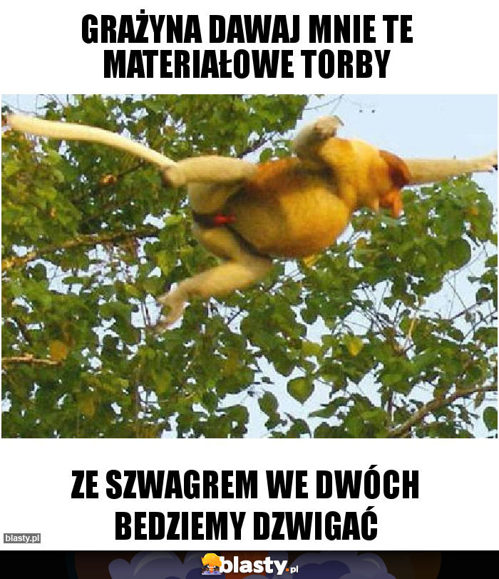 Grażyna dawaj mnie te materiałowe torby