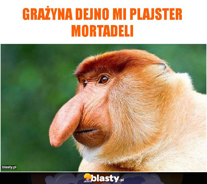Grażyna dejno mi plajster mortadeli