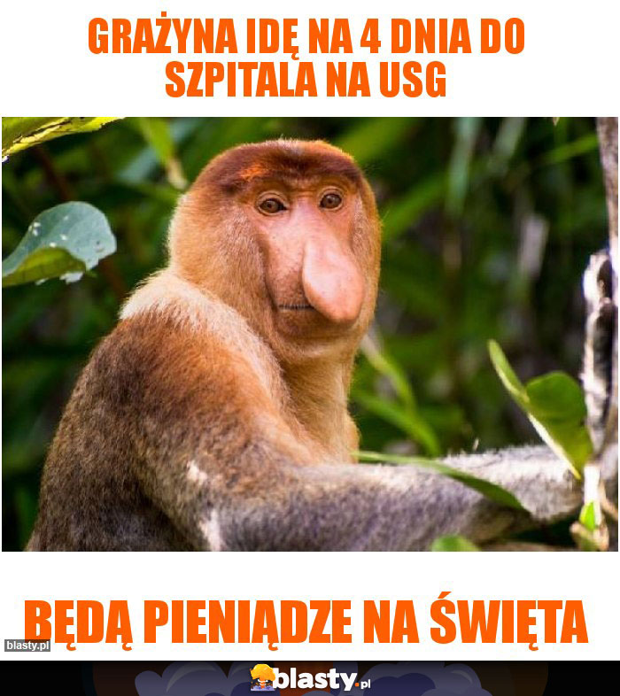Grażyna idę na 4 dnia do szpitala na Usg