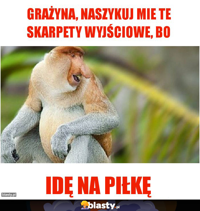 Grażyna, naszykuj mie te skarpety wyjściowe, bo