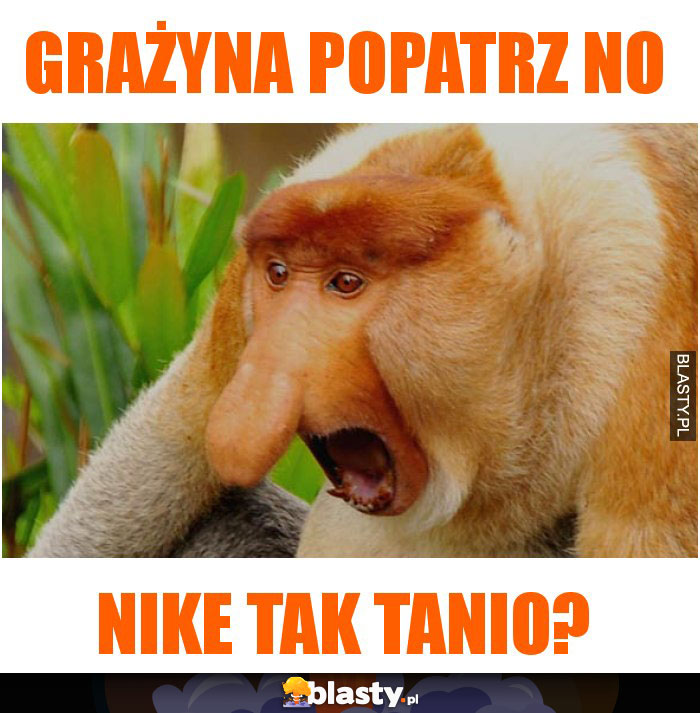 Grażyna popatrz no