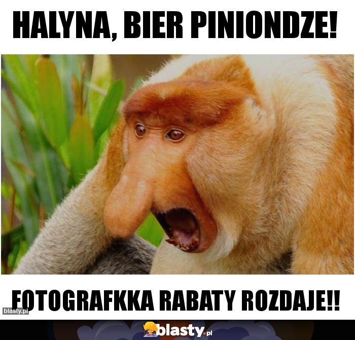 HAlyna, bier piniondze!