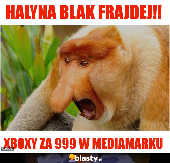 HALYNA BLAK FRAJDEJ!!