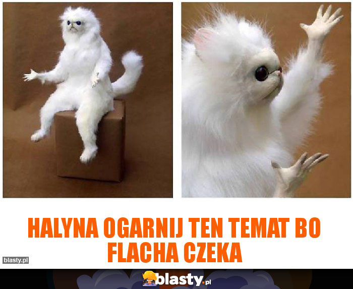 Halyna ogarnij ten temat bo flacha czeka Halyna ogarnij ten temat bo flacha czeka