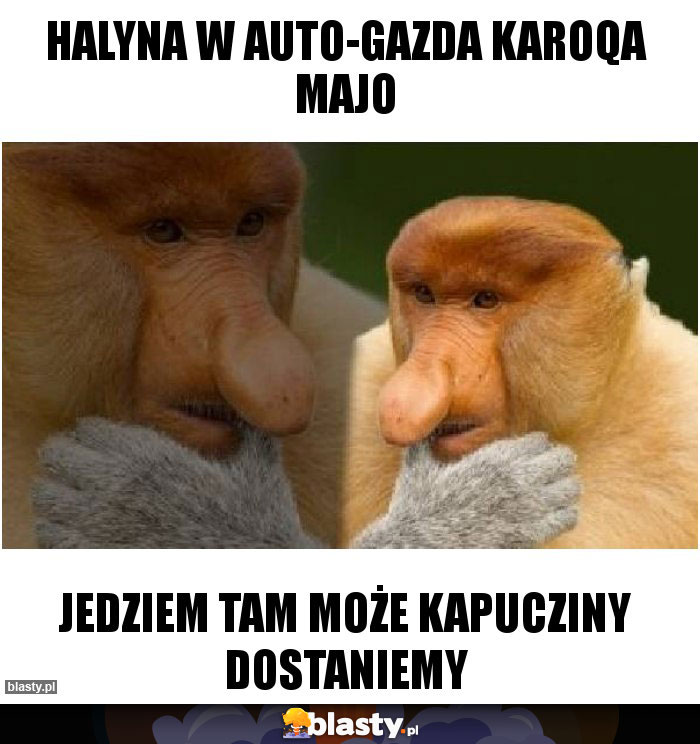 Halyna w Auto-Gazda Karoqa majo