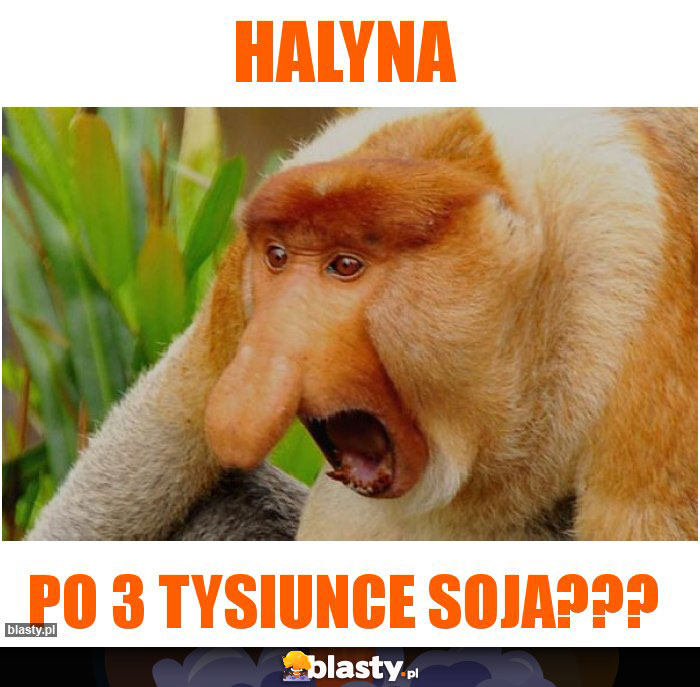HALYNA
