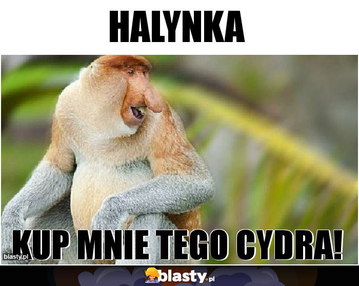 halynka