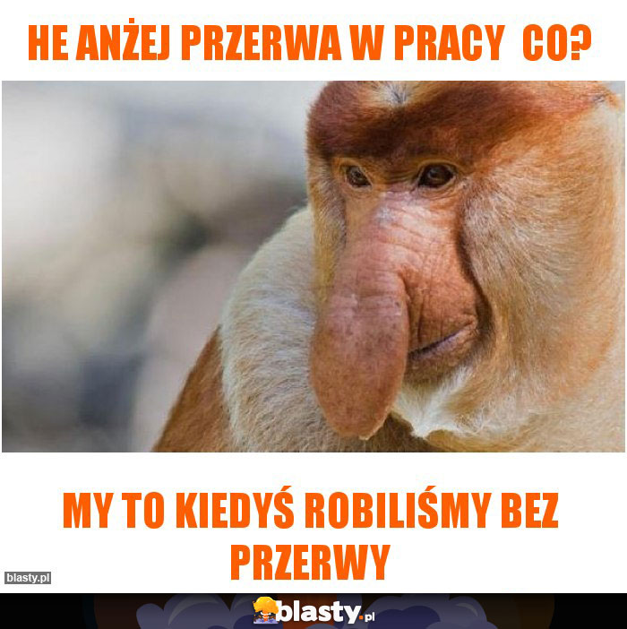 he Anżej przerwa w pracy  co?