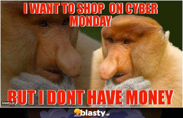 i want to shop  on cyber monday