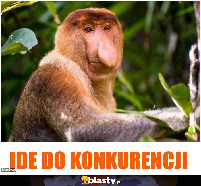 IDE DO KONKURENCJI