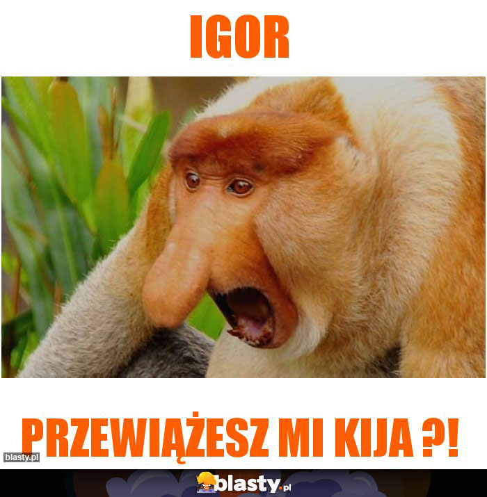 IGOR