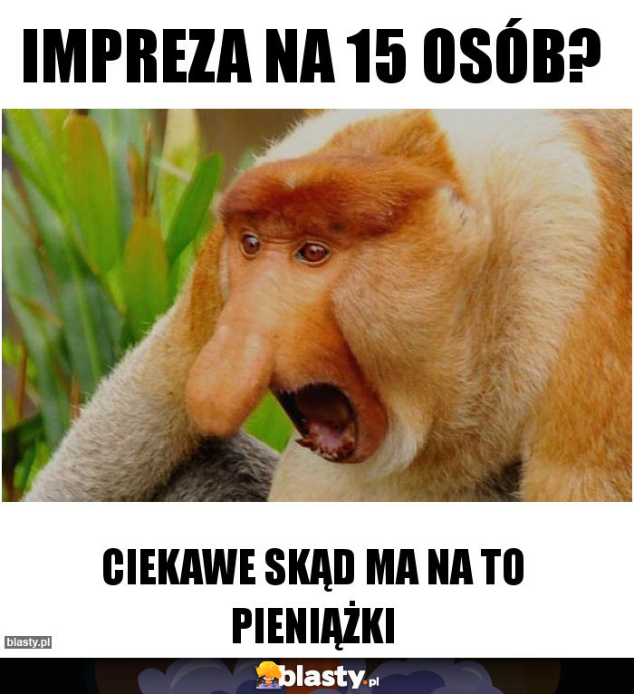 IMPREZA NA 15 OSÓB?
