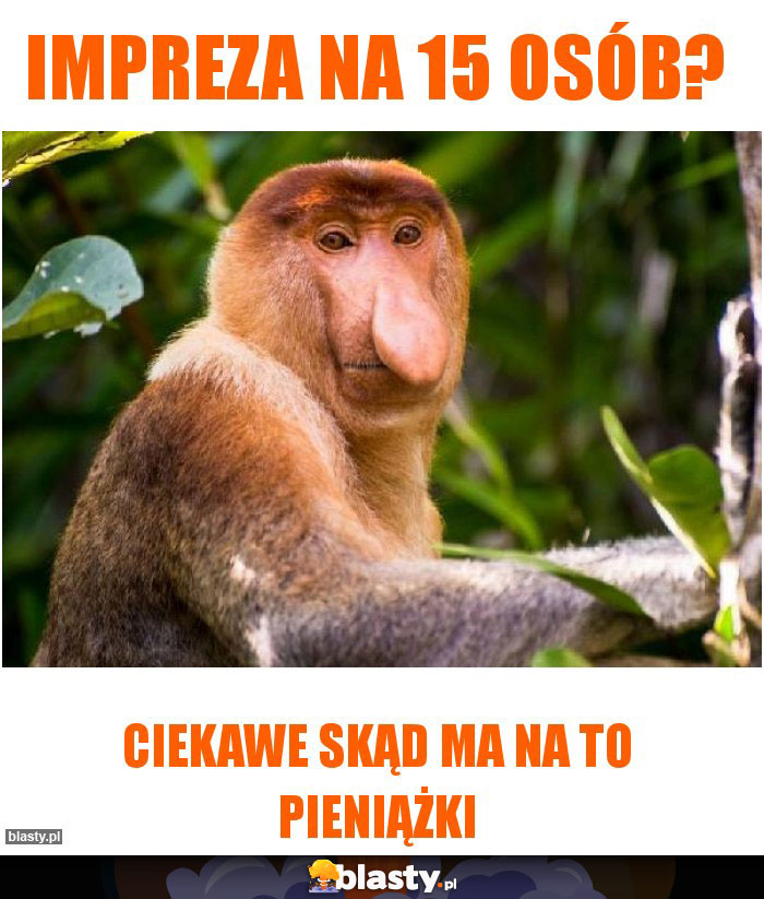IMPREZA NA 15 OSÓB? IMPREZA NA 15 OSÓB?