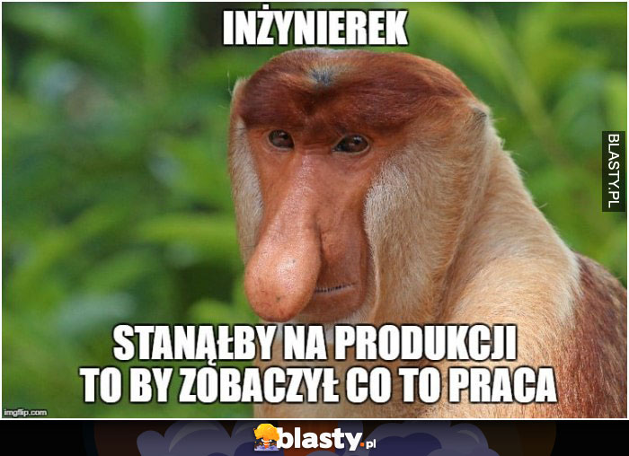 Inżynierek - stanąłby na produkcji