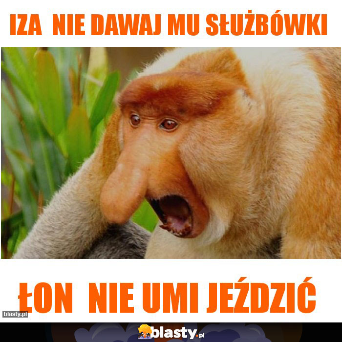 Iza  nie dawaj mu służbówki