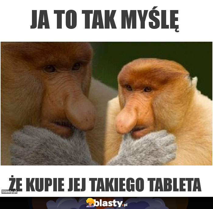 JA TO TAK MYŚLĘ