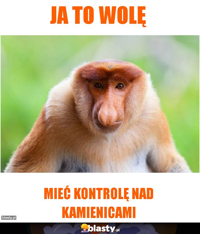 JA TO WOLĘ